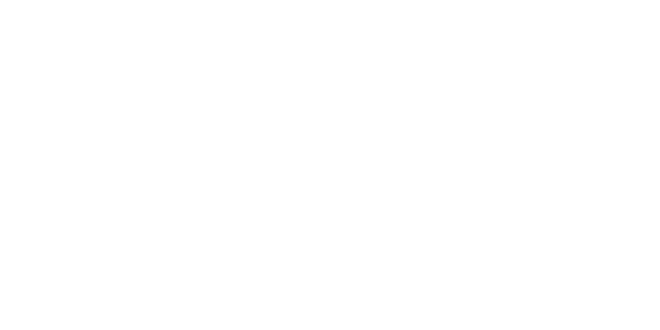  BCGE